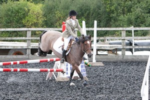 Class 5 - Fences not above 2'6